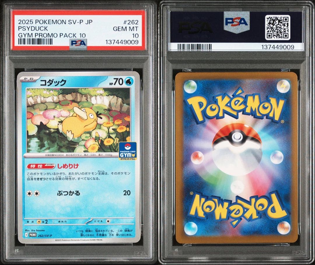 PSA10 コダック　プロモ　しめりけ　262/SV-P 5連番