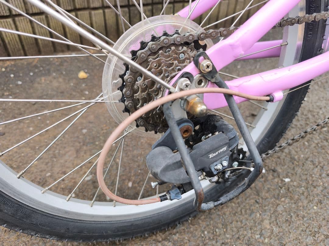 【引き取り限定】ルイガノ J20 plus パープル 20インチ