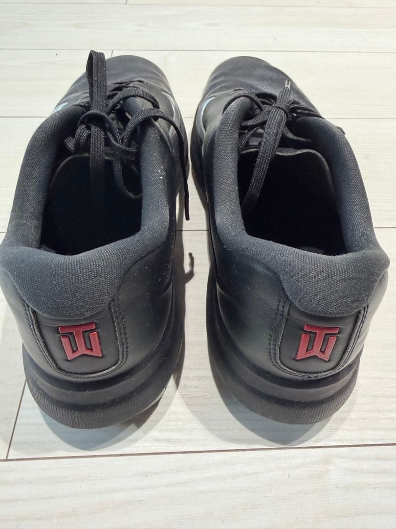 シューズ(男性用) NIKE AIR ZOOM TW20 tiger woods 28.5