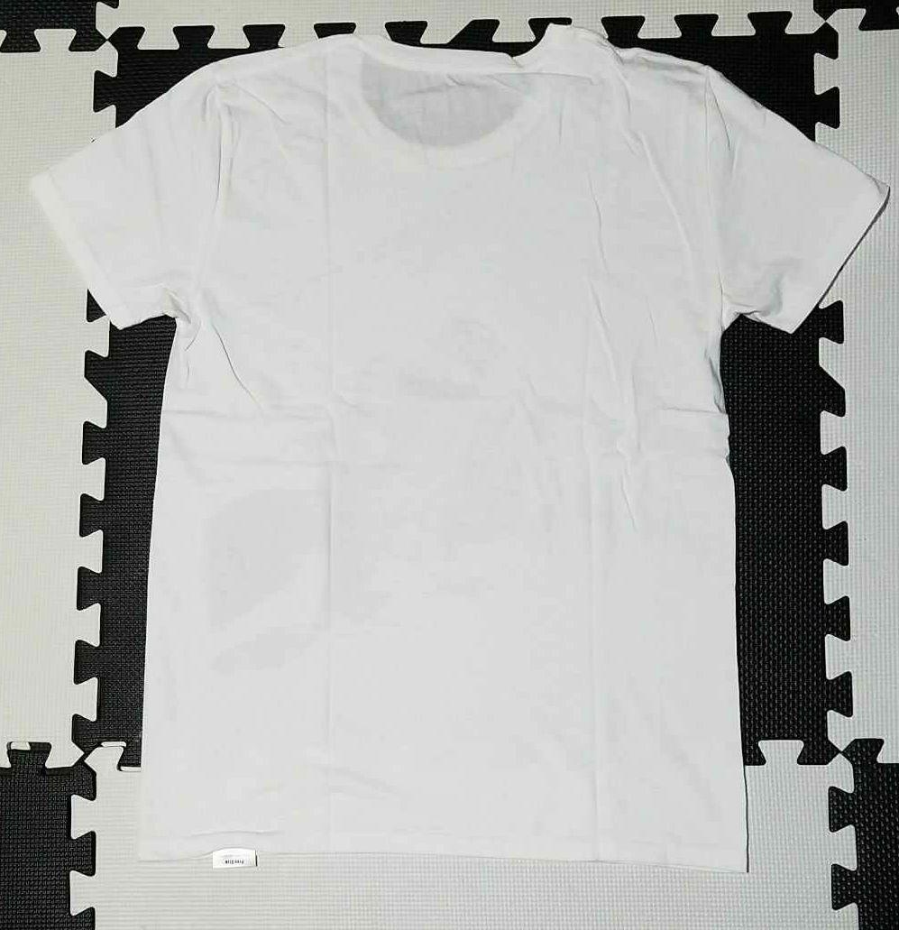 ジョジョ展 東京キービジュアルTシャツ 承太郎&イギ ー 荒木飛呂彦原画展富士山