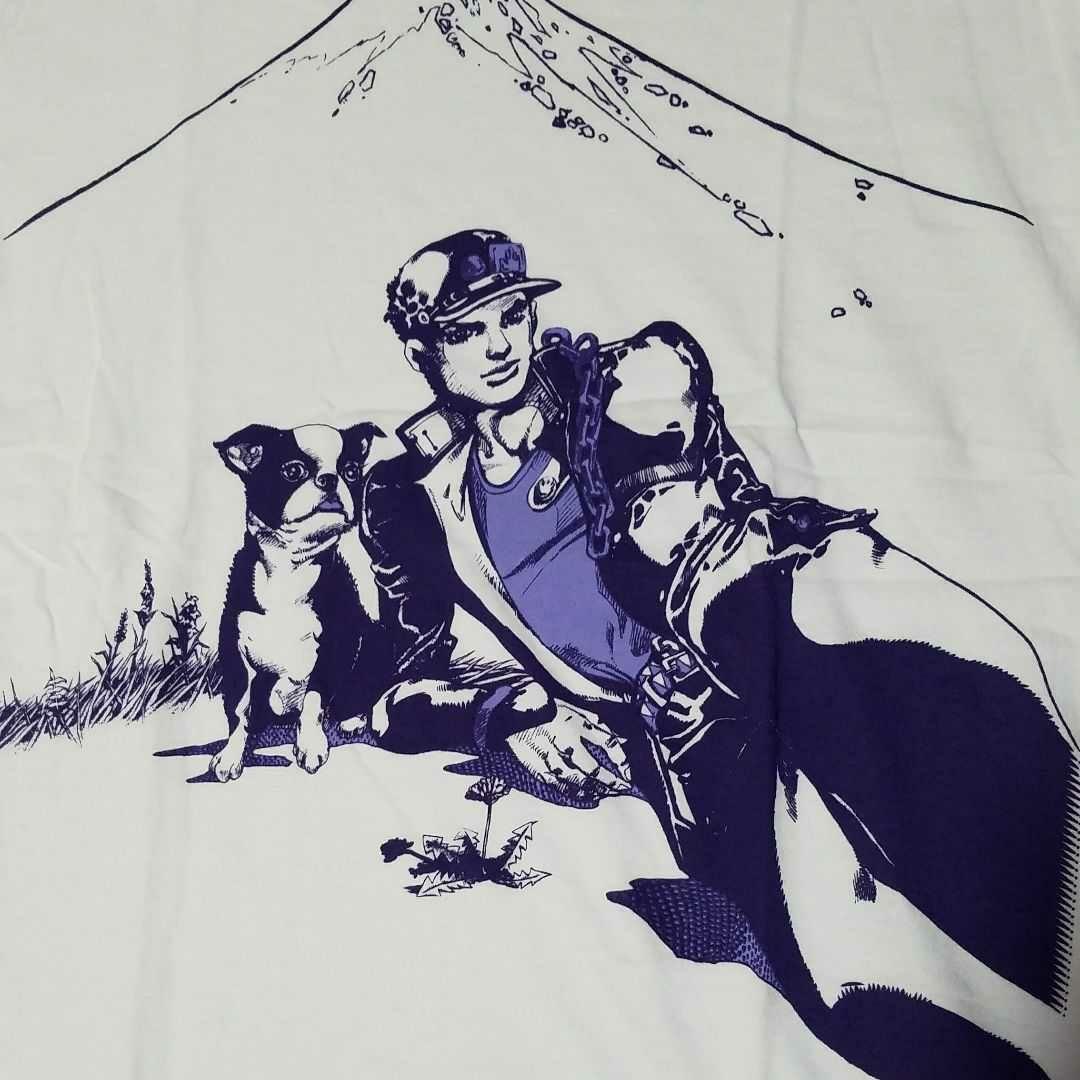 ジョジョ展 東京キービジュアルTシャツ 承太郎&イギ ー 荒木飛呂彦原画展富士山