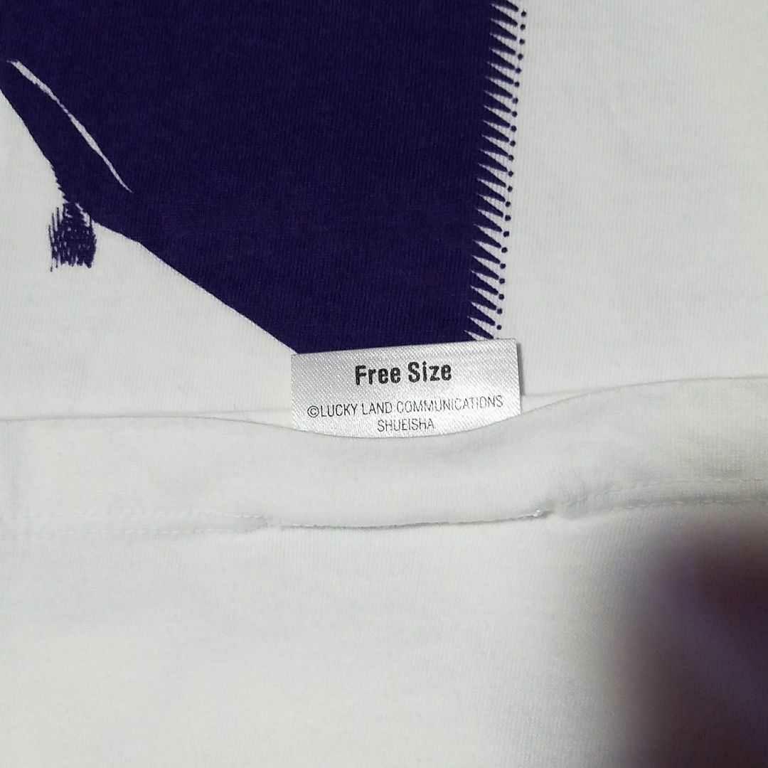 ジョジョ展 東京キービジュアルTシャツ 承太郎&イギ ー 荒木飛呂彦原画展富士山