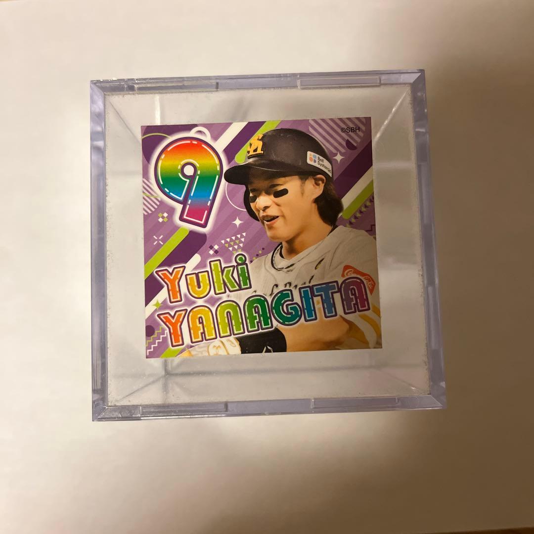 SoftBank HAWKS 柳田悠岐　投げ入れサインボール　バレンタイン