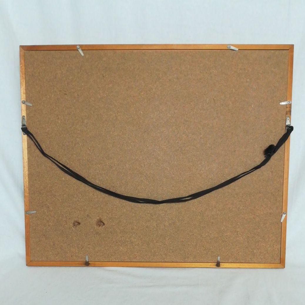 蝶　モルフォ　標本　額装　昆虫