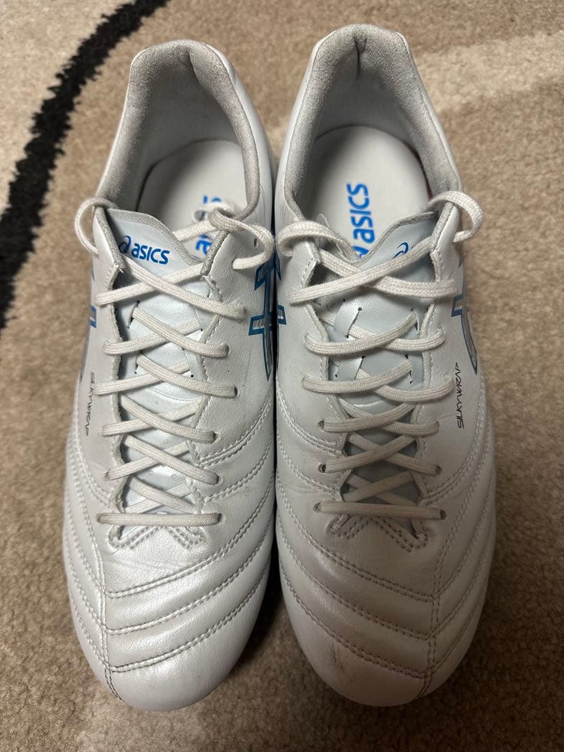 シューズ DS LIGHT X-FLY PRO 3(25.5cm)