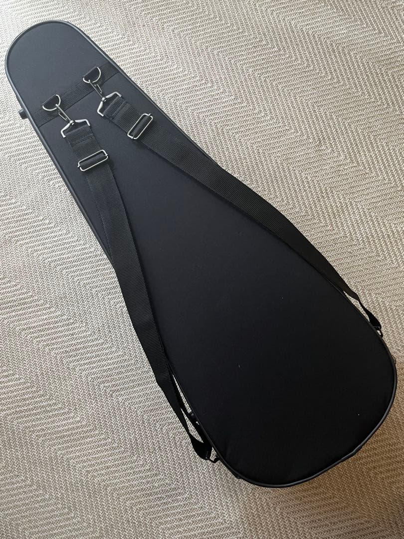 カルロジョルダーノ VS2 4/4バイオリン　ケース　肩当て　ミュート付き