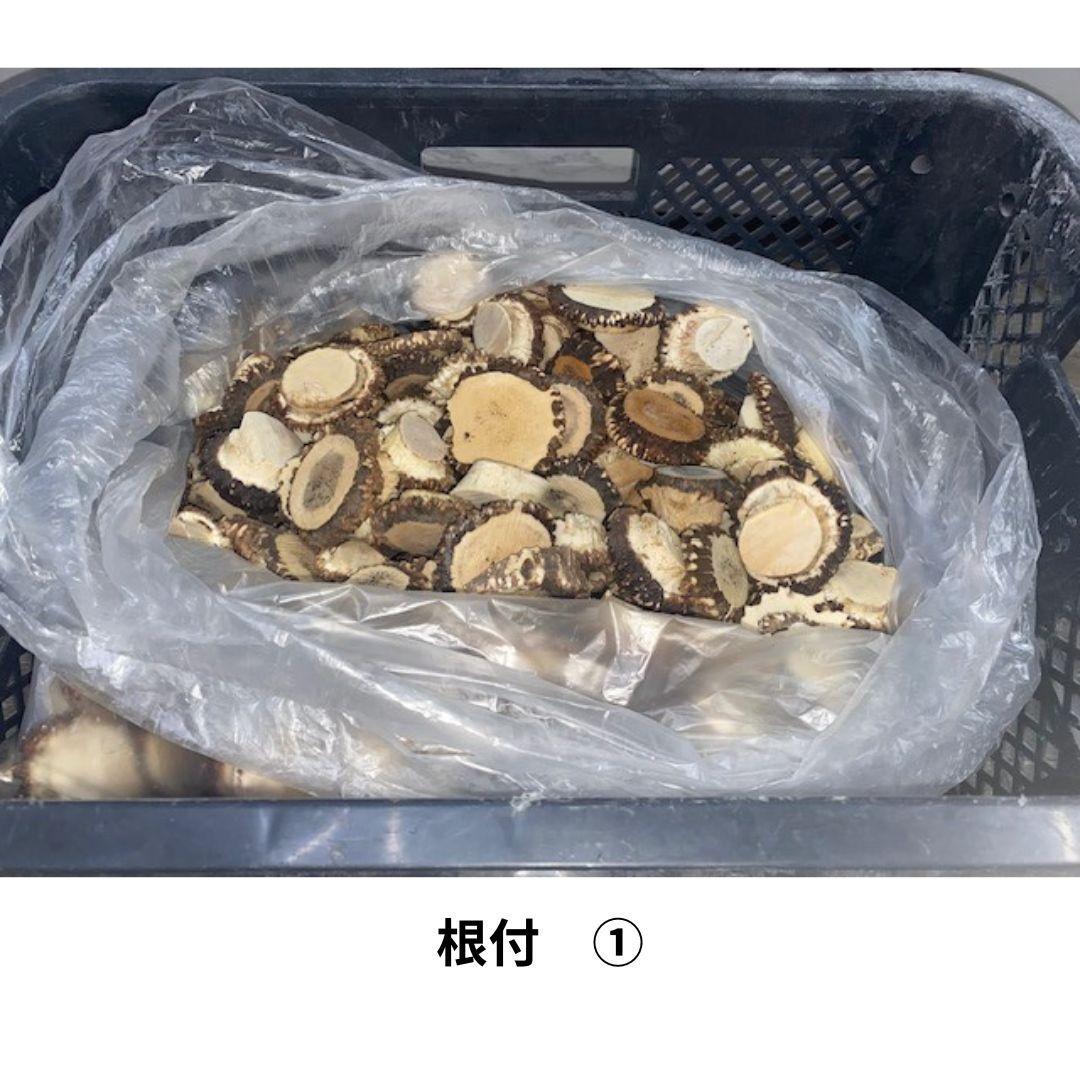 Susi商品　詰め合わせ　№1