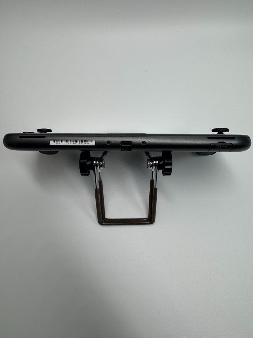 【極美品】完品 ニンテンドースイッチライト ディアルガ・パルキア 本体