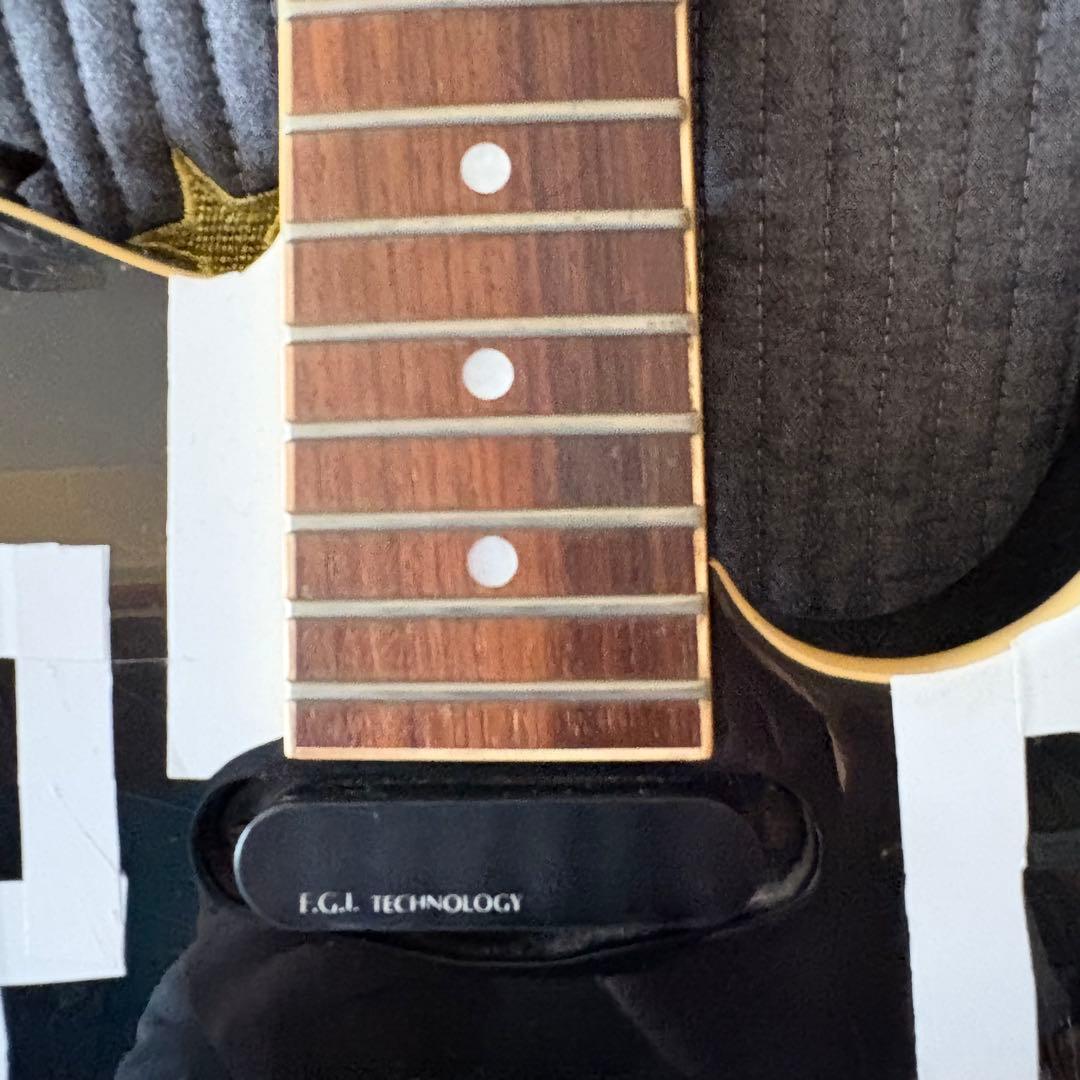 FERNANDES フェルナンデス　テレキャスター