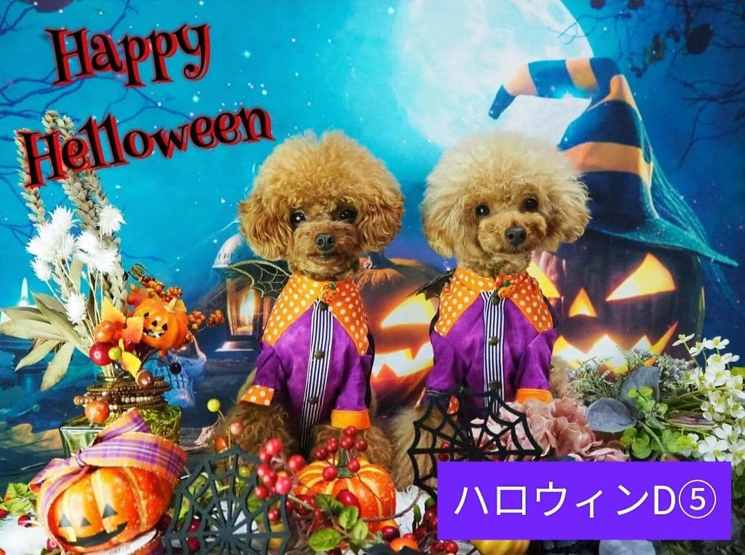 背景布【秋C】サンプル　ペット撮影用　紅葉　イチョウ　トリミングチョーカー販売中