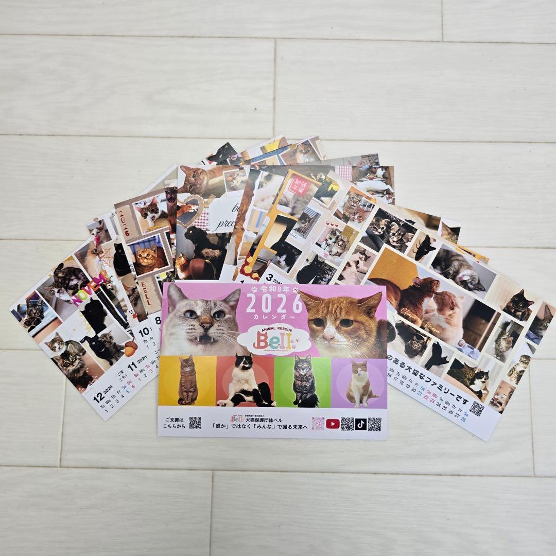 ③《猫》 卓上チャリティーカレンダー10枚セット