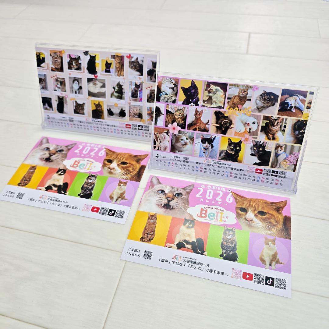 ③《猫》 卓上チャリティーカレンダー10枚セット