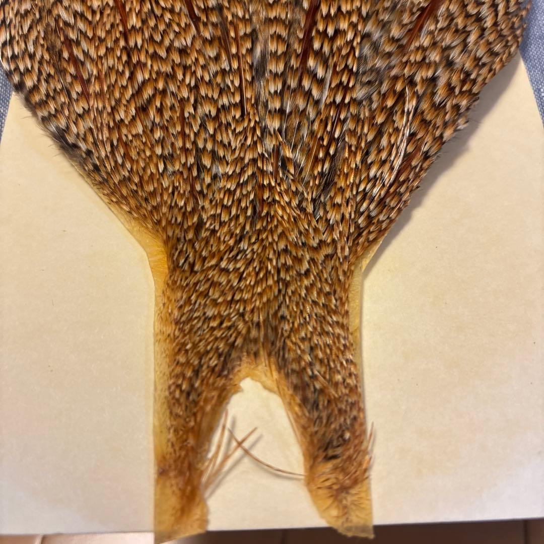 ルアー・フライ METZ Premium Neck Hackle #3 Neck Cree