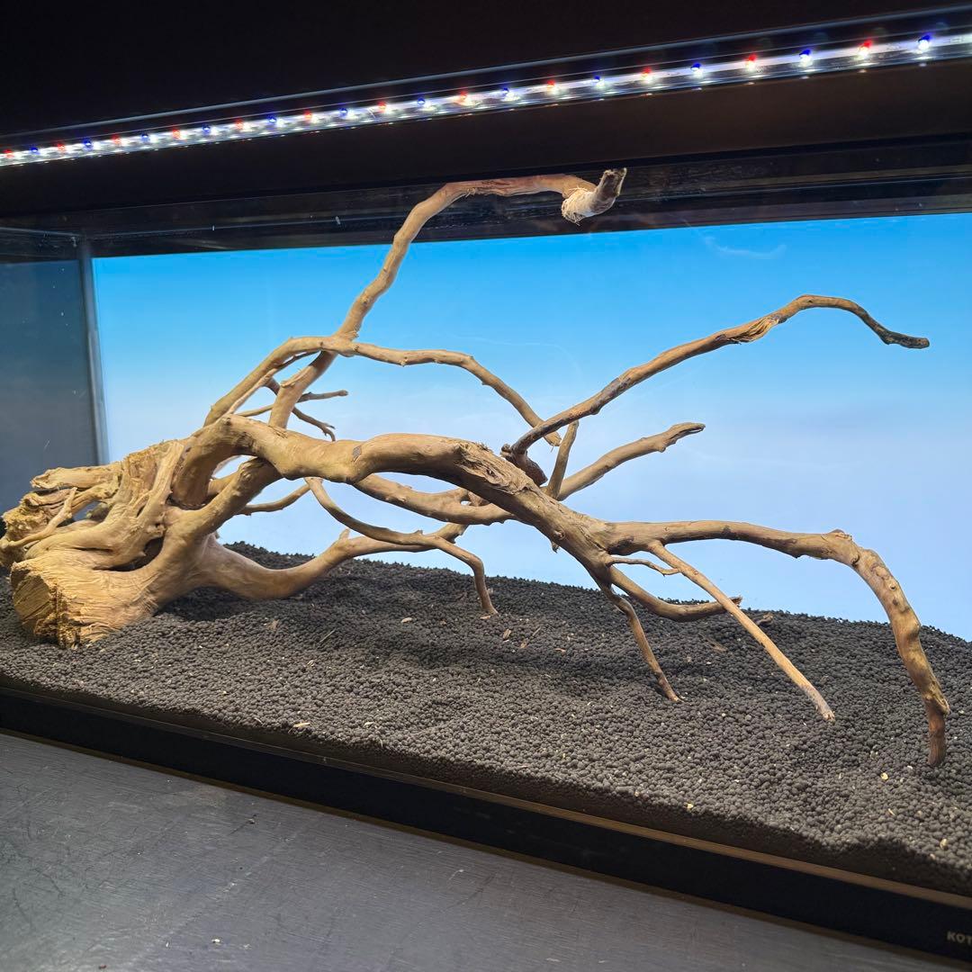 MDW-7103 ブランチウッド3本セット　流木セット　枝流木　アクアリウム
