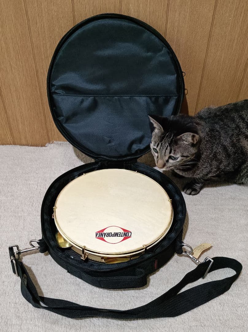 パンデイロ CONTEMPORÁNEA キャリングケース付き