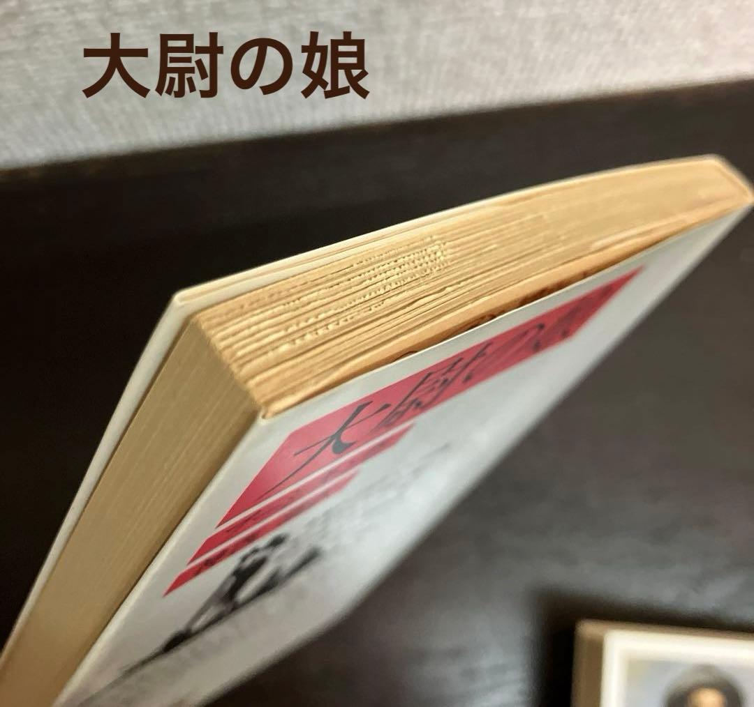 岩波文庫　赤帯　青帯　白帯　緑帯　22冊まとめ売り　文庫本