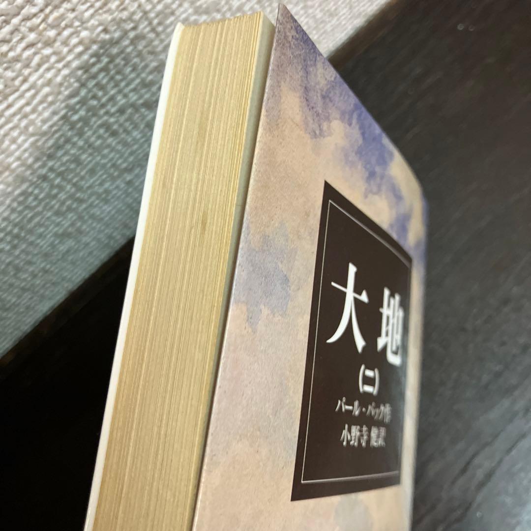 岩波文庫　赤帯　青帯　白帯　緑帯　22冊まとめ売り　文庫本