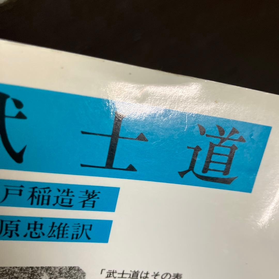 岩波文庫　赤帯　青帯　白帯　緑帯　22冊まとめ売り　文庫本