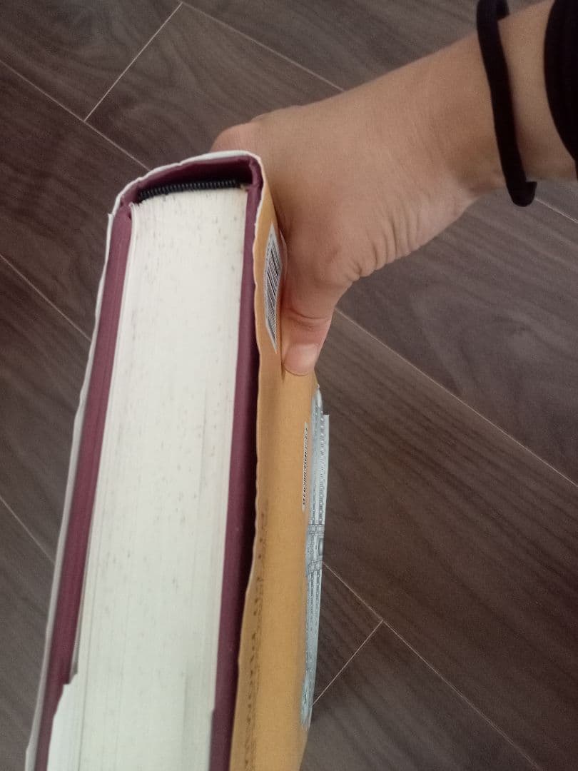 建築 India and the Indianized