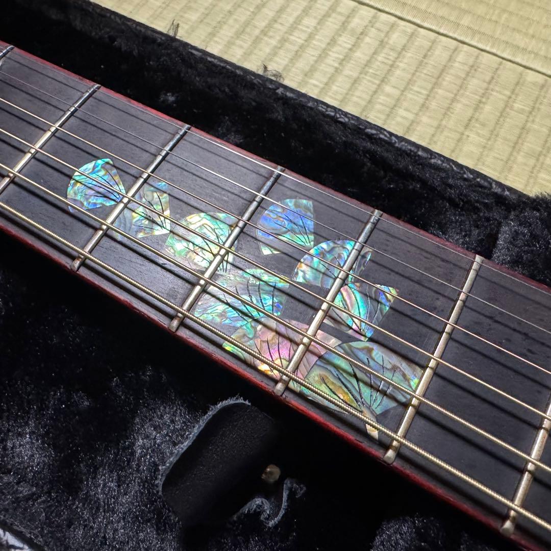 Ayers アコースティックギター CustomShop 限定版 ココボロ 錦鯉
