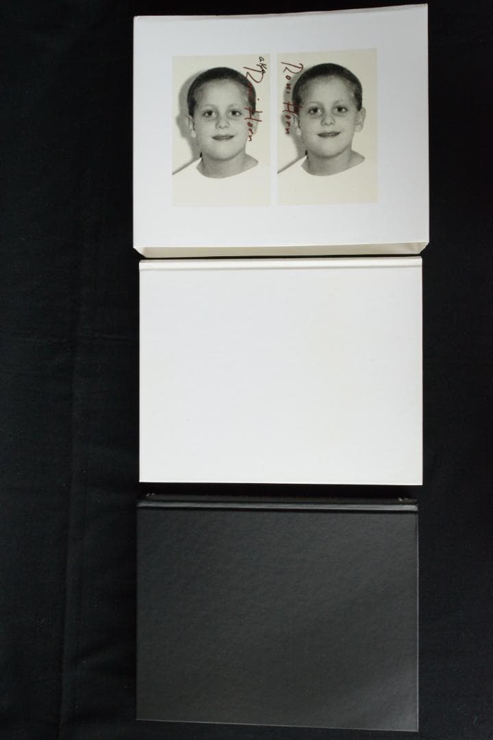【Roni Horn aka Roni Horn】Roni Horn新品未読品
