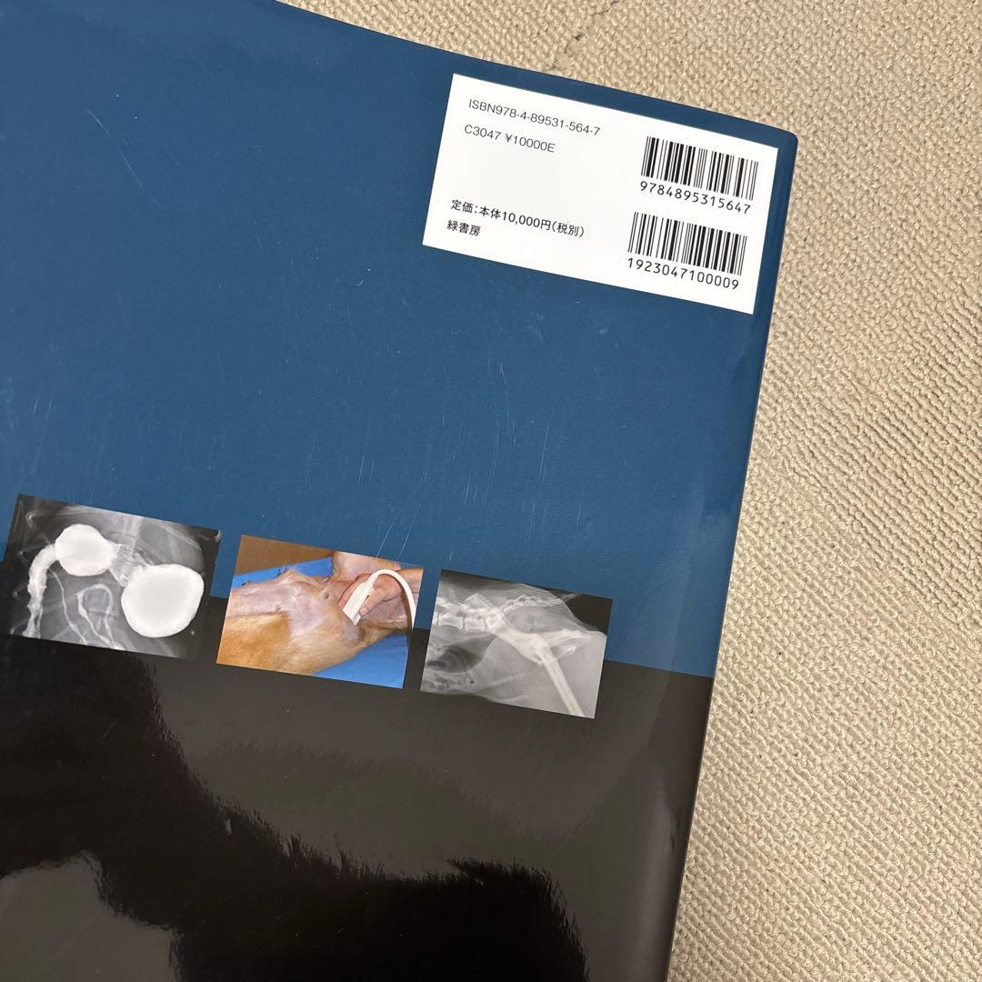 犬と猫のベーシック画像診断学