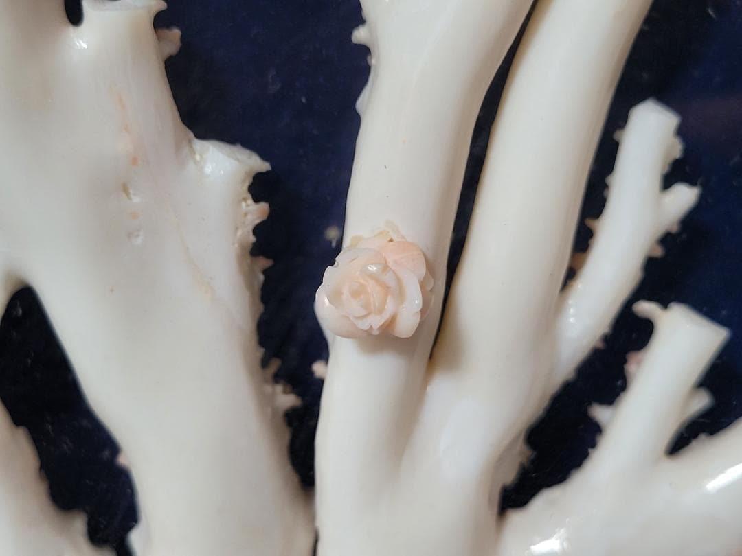 天然希少材料 彫刻 額装 壁飾 置物 横幅約55.8cm