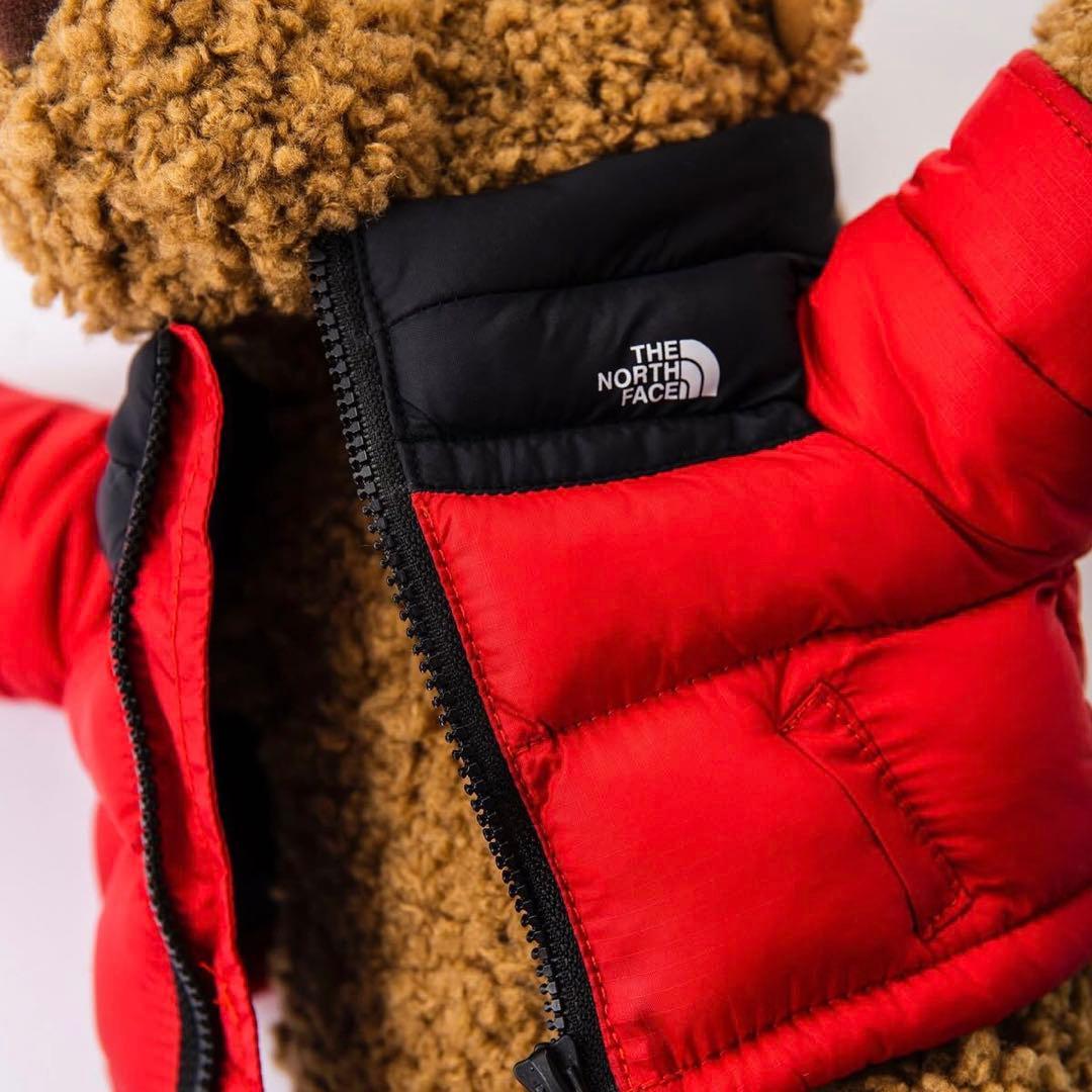 国内正規品▶︎THE NORTH FACE 【ヌプシベア】