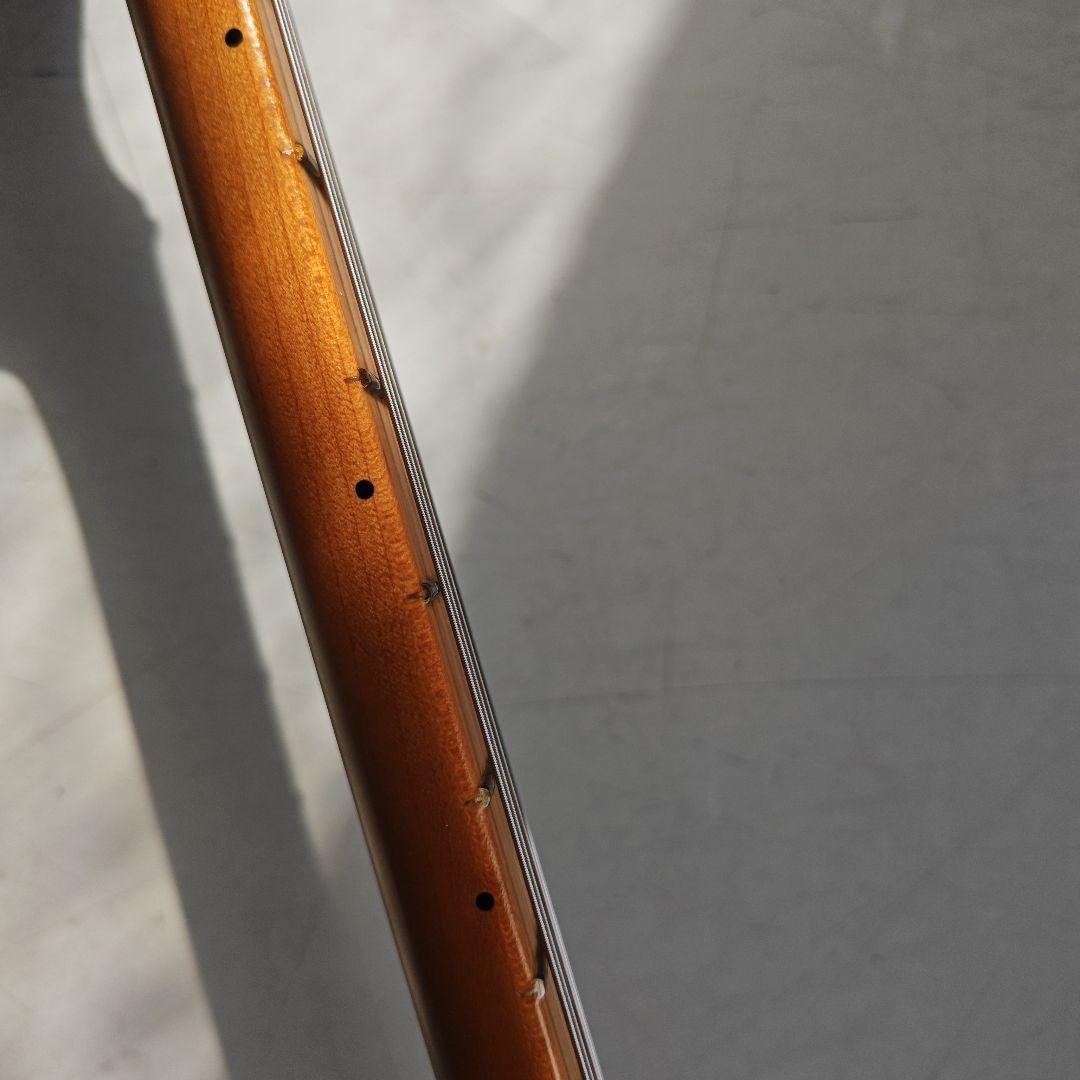 ギター Fender Player Plus Stratocaster