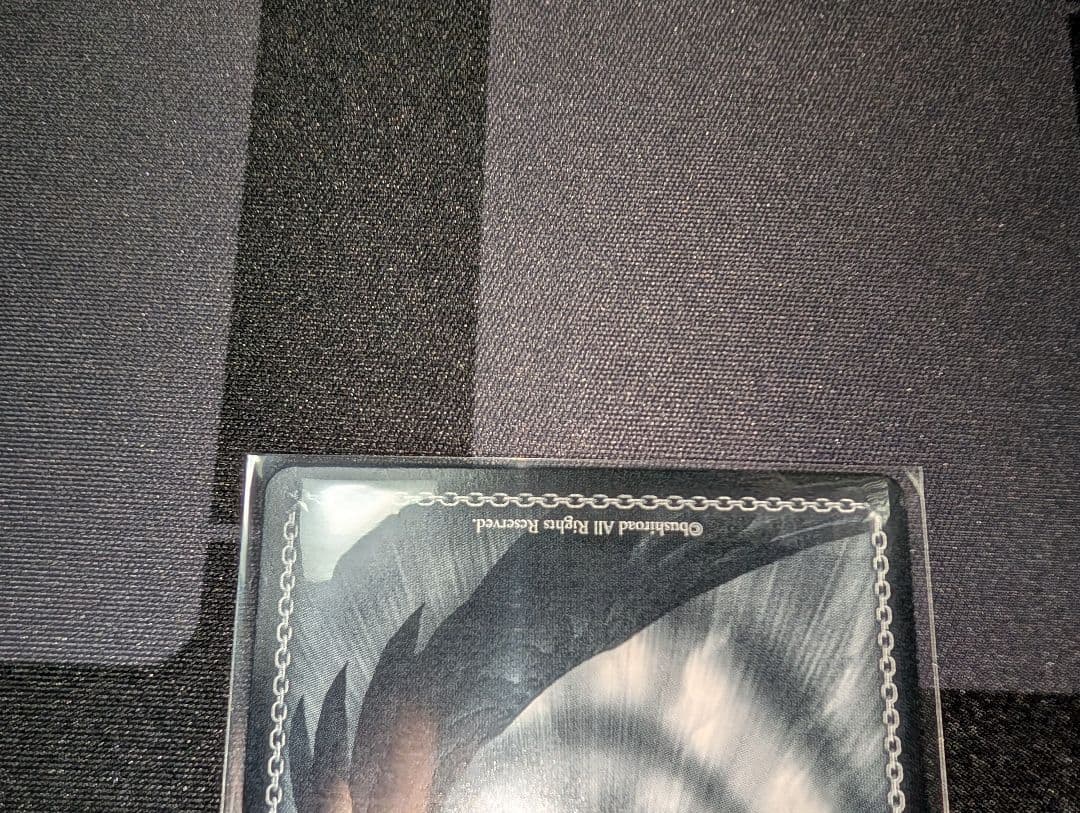 ヴァイスシュヴァルツ 対策委員会 ホシノ SP WS ブルーアーカイブ