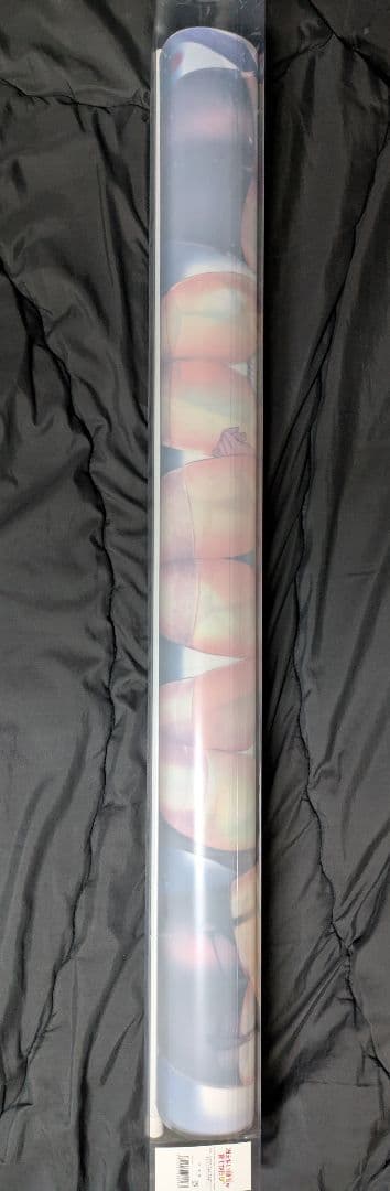 新品　冴えない彼女の育てかた♭ B1 おめくり タペストリー 全巻購入特典