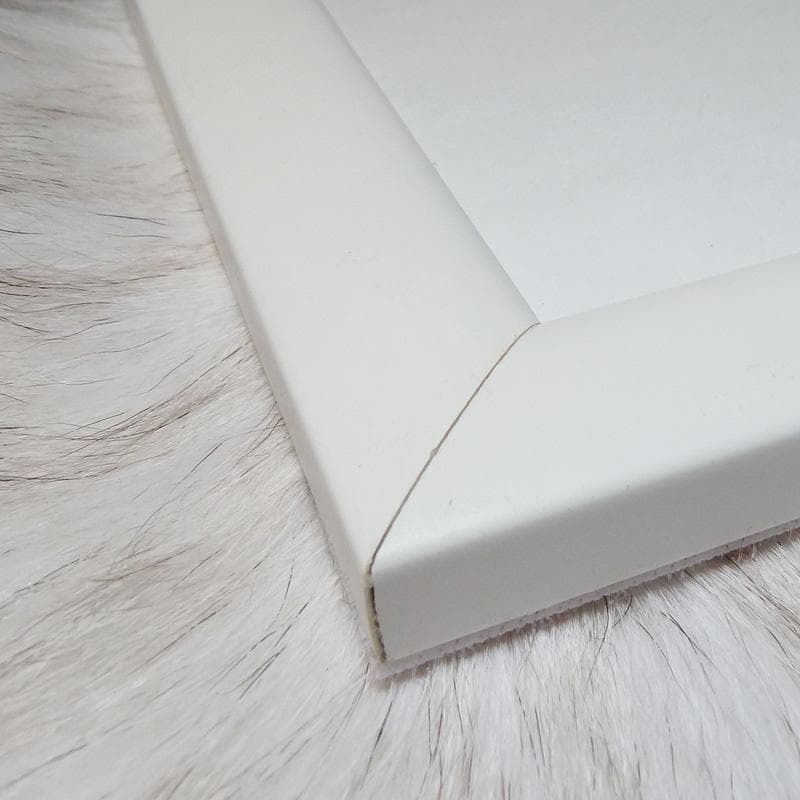 額装品/Expo 1975/バゼイン/ポスター/アート/インテリア