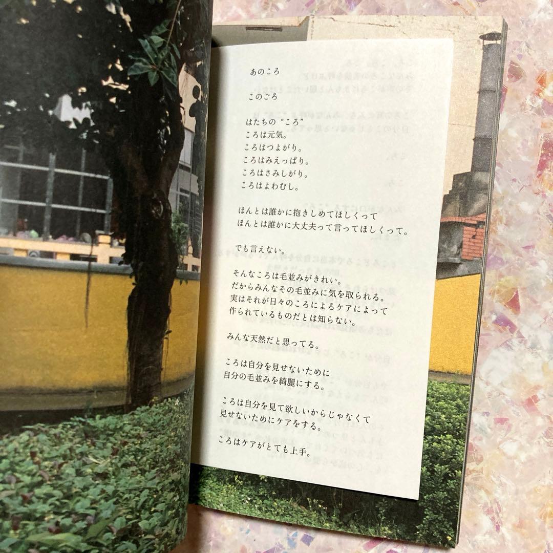 「20歳の頃」　川島小鳥　森川葵