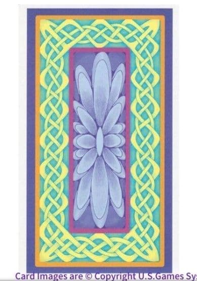 未開封 Whimsical Tarot Deck ウィムジカルタロット