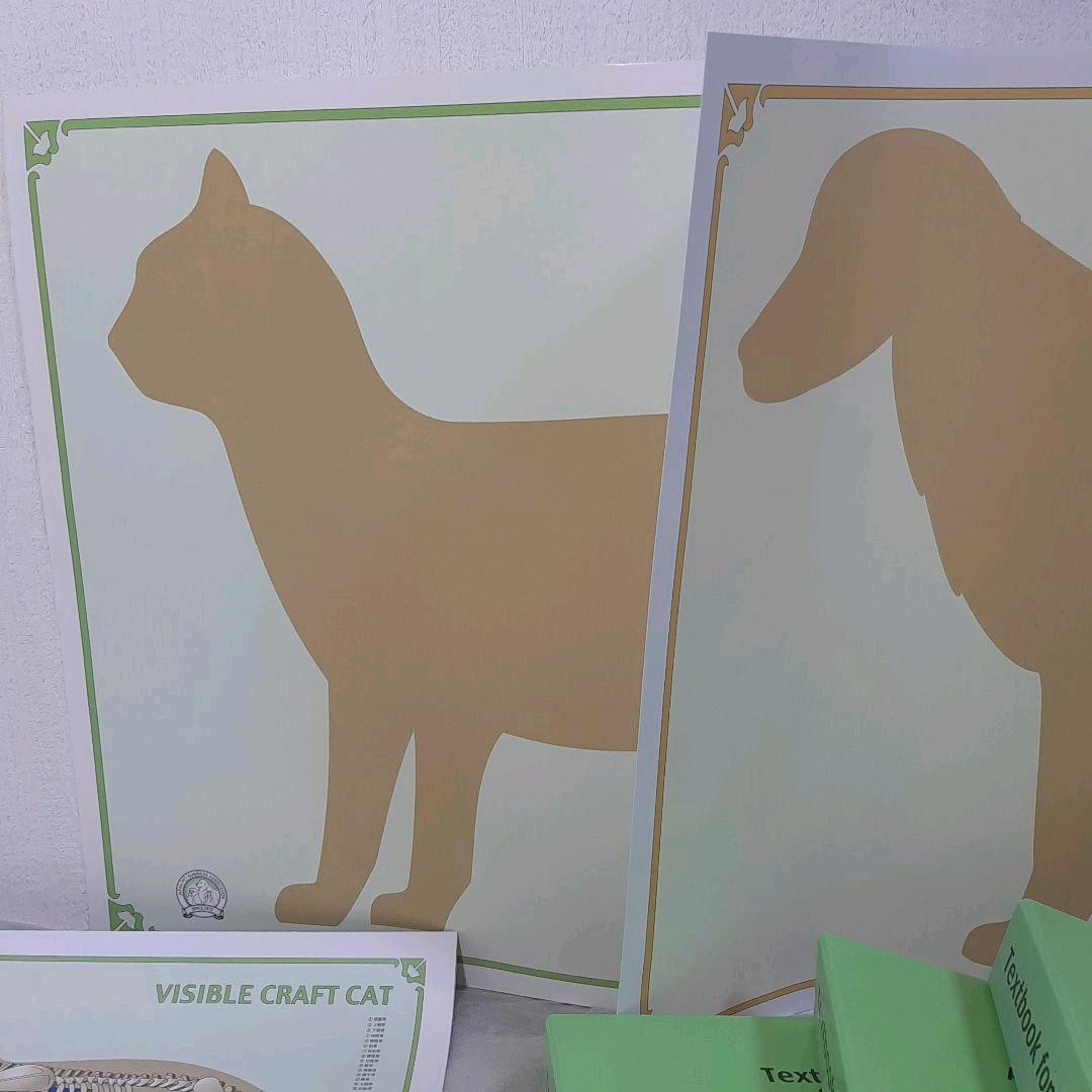 キャットケアスペシャリスト 看護・介護士プラス講座 教材セット一式