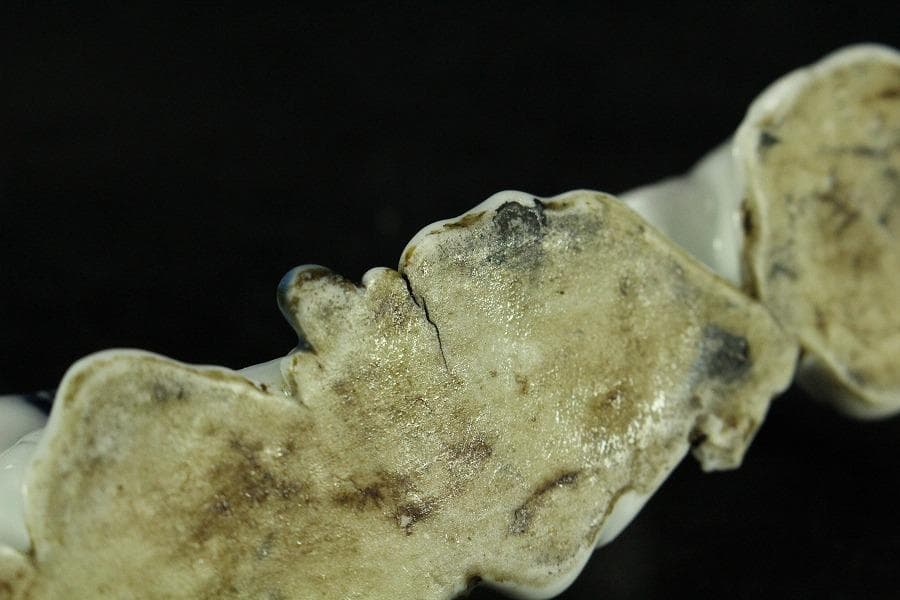 古平戸 唐子 筆架 文房具 時代物(K-YC455)