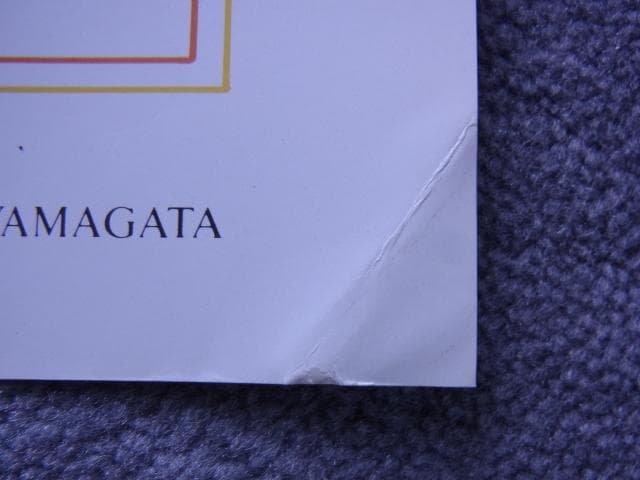 未使用品　非売品　ポスター　ヒロ・ヤマガタ　森の蝶々　アート　山形博導