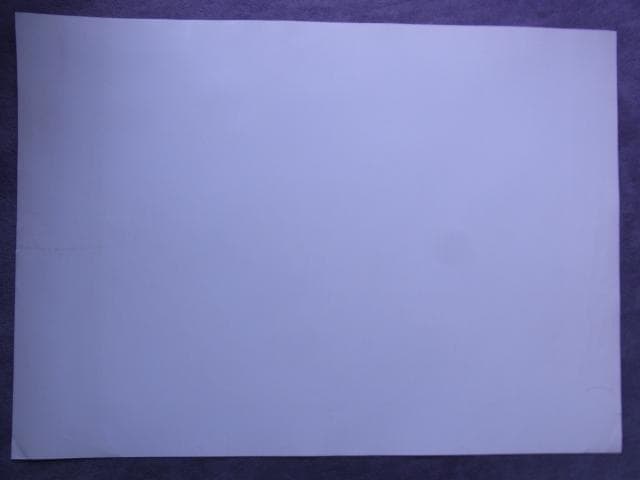 未使用品　非売品　ポスター　ヒロ・ヤマガタ　森の蝶々　アート　山形博導