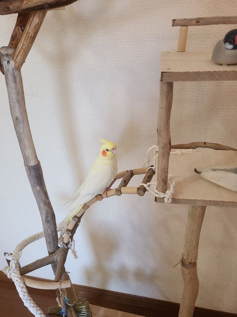 ③よもぎもちオーダーページ　ハンドメイド　流木　アスレチック