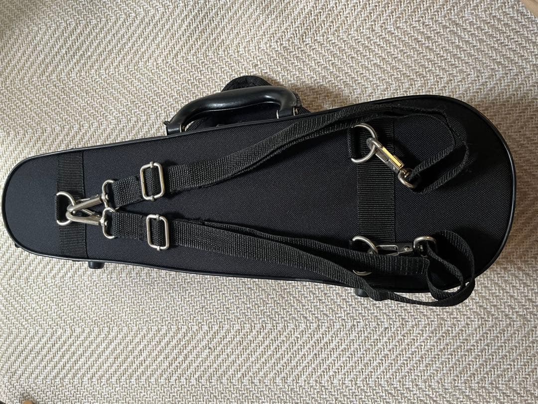 【もこもこもこ様】カルロ・ジョルダーノ VS-1 1/16 (ケース肩当て付き)