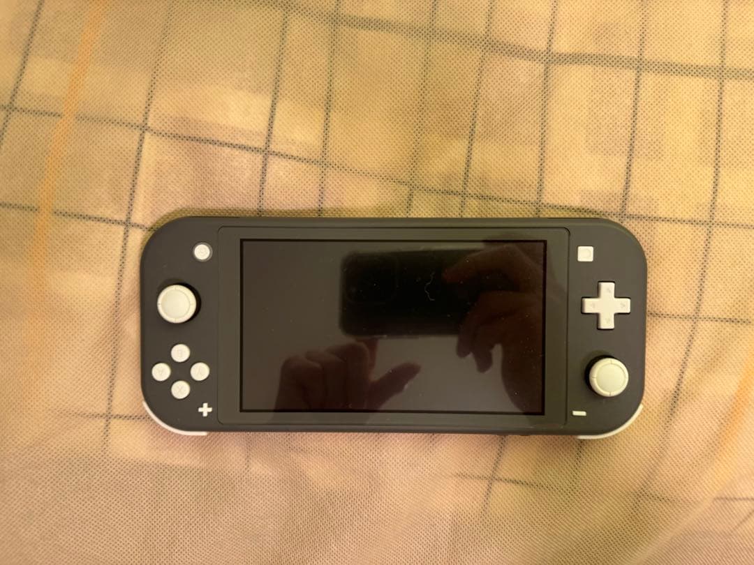 英語版Nintendo Switch Lite + カセット2本セット