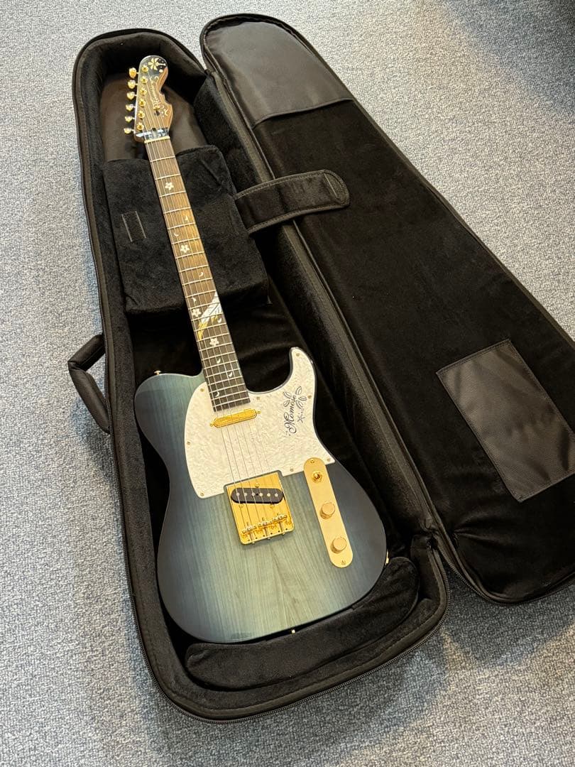 ギター momose MT-HYUGAZAKURA SP 25 E DBL-VGR