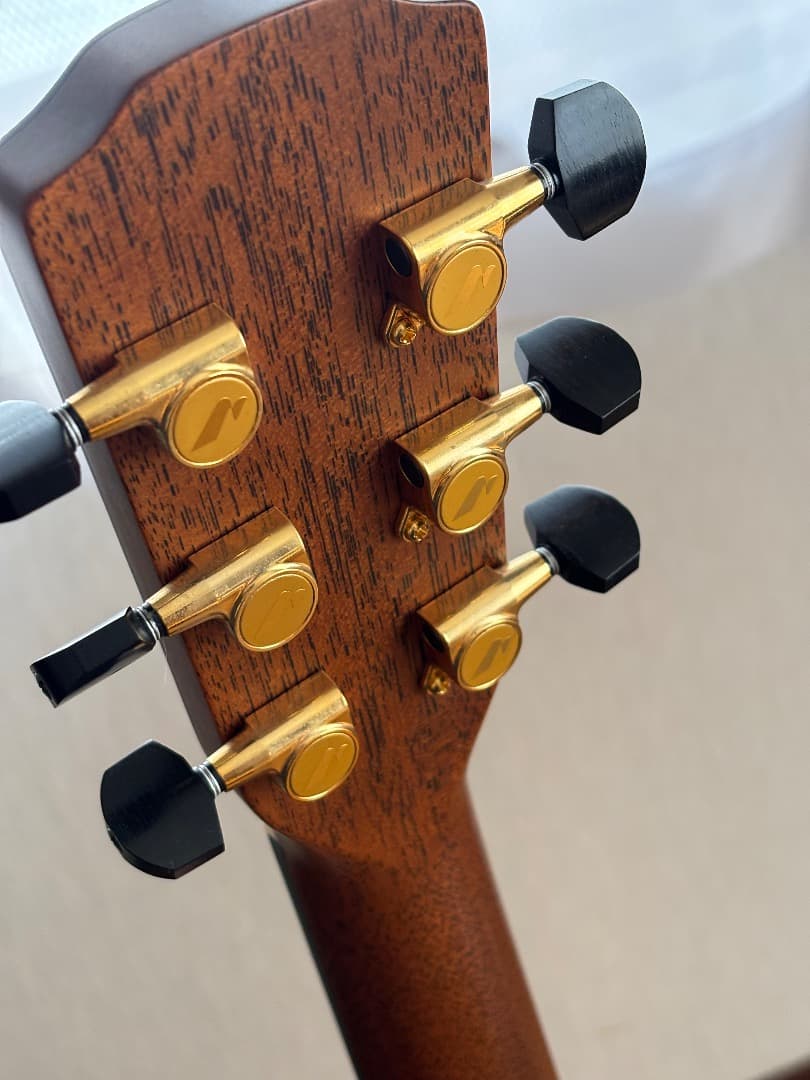 ギター M-104PDK MORRIS GUITARS