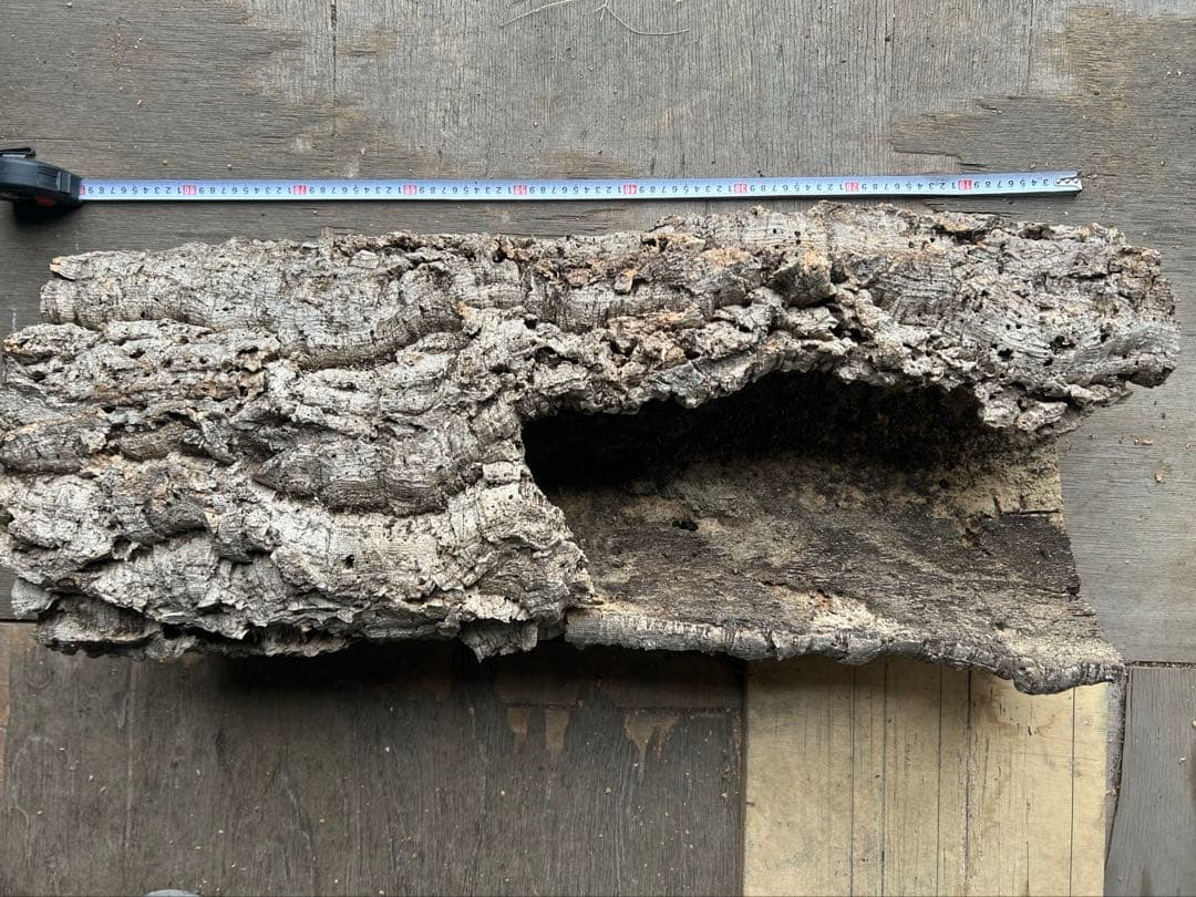 ポルトガル産コルク樹皮ＰＬ-102-10ＬＬ