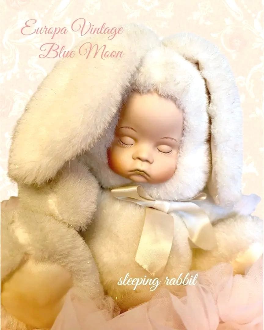 ♕EuropaVintage✴︎sleeping rabbit♡
