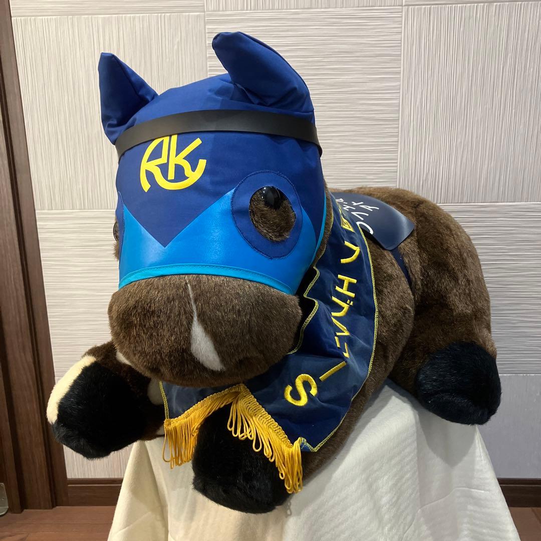 AVANTI＊アドマイヤドン2L（第21回フェブラリーS）