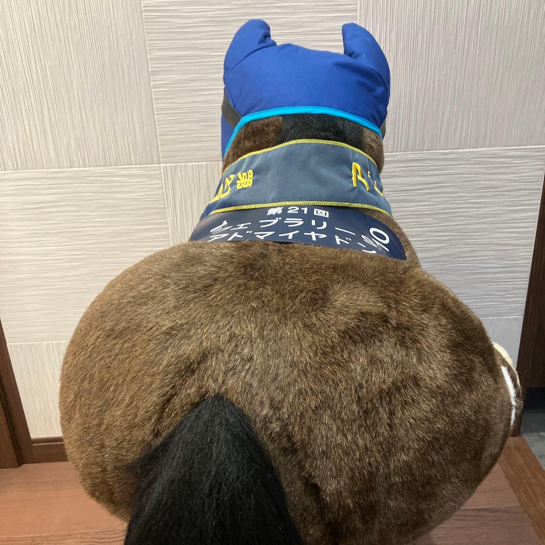 AVANTI＊アドマイヤドン2L（第21回フェブラリーS）