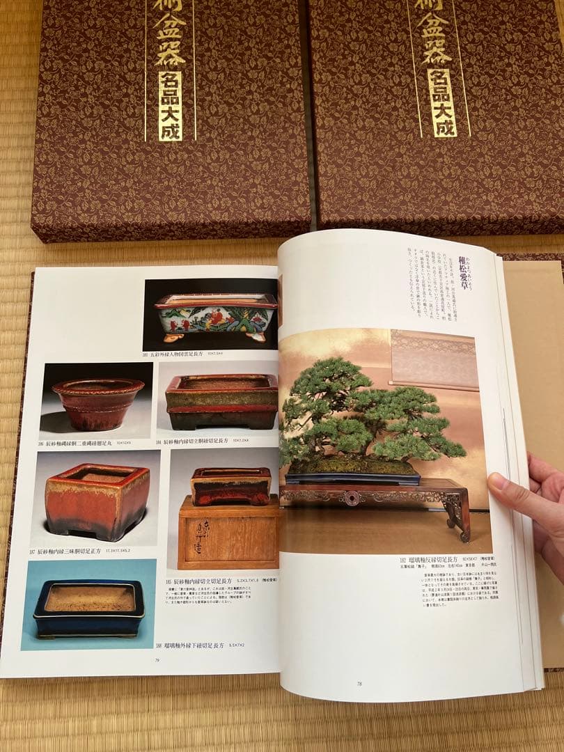 【美品・函付】美術盆器名品大成 中国編／日本編 全2冊｜大型本・盆栽資料