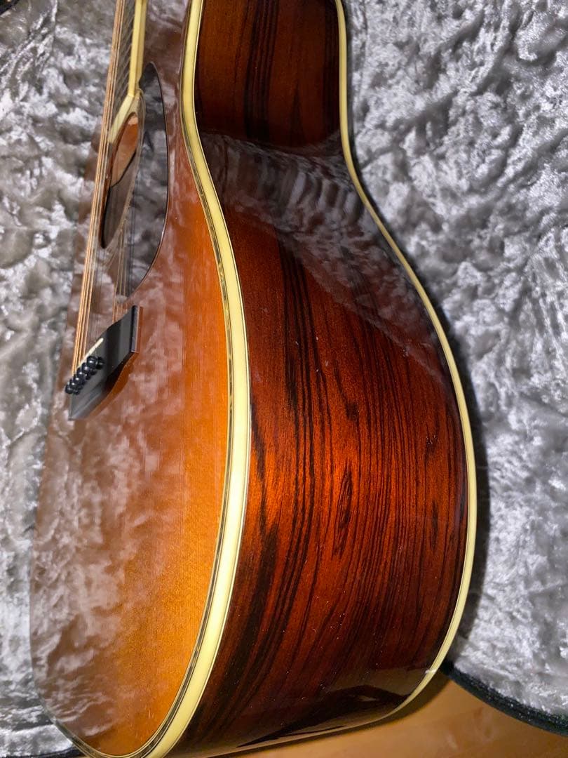 Morris アコースティックギター TF50スプルース単板ハカランダHC付