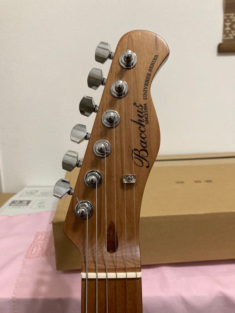 Bacchus BTE-2 rtm OPWテレキャスタータイプ